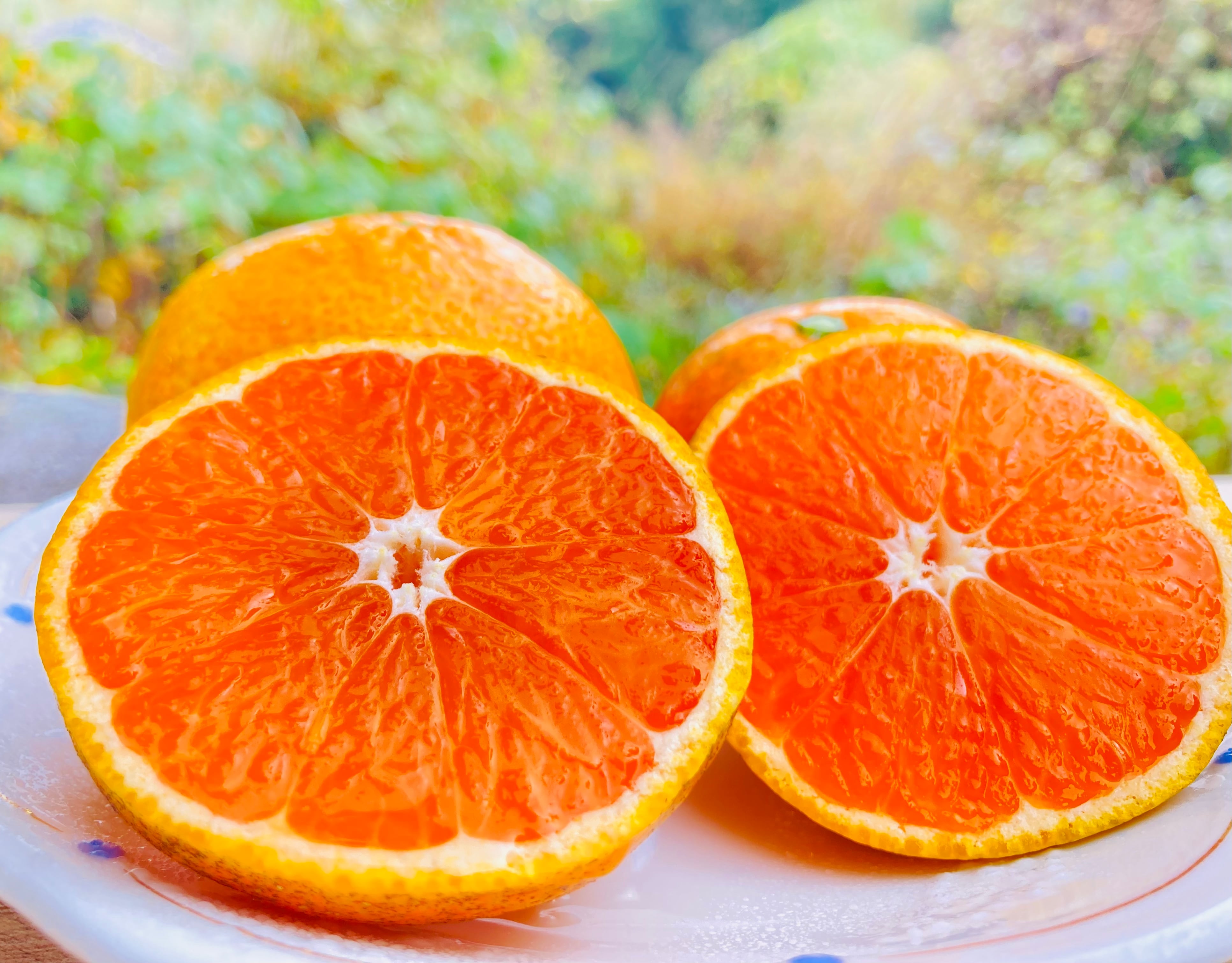 【酸味と甘さの黄金比率】自然栽培『金の蜜柑』 5kg 【人氣サイズ】