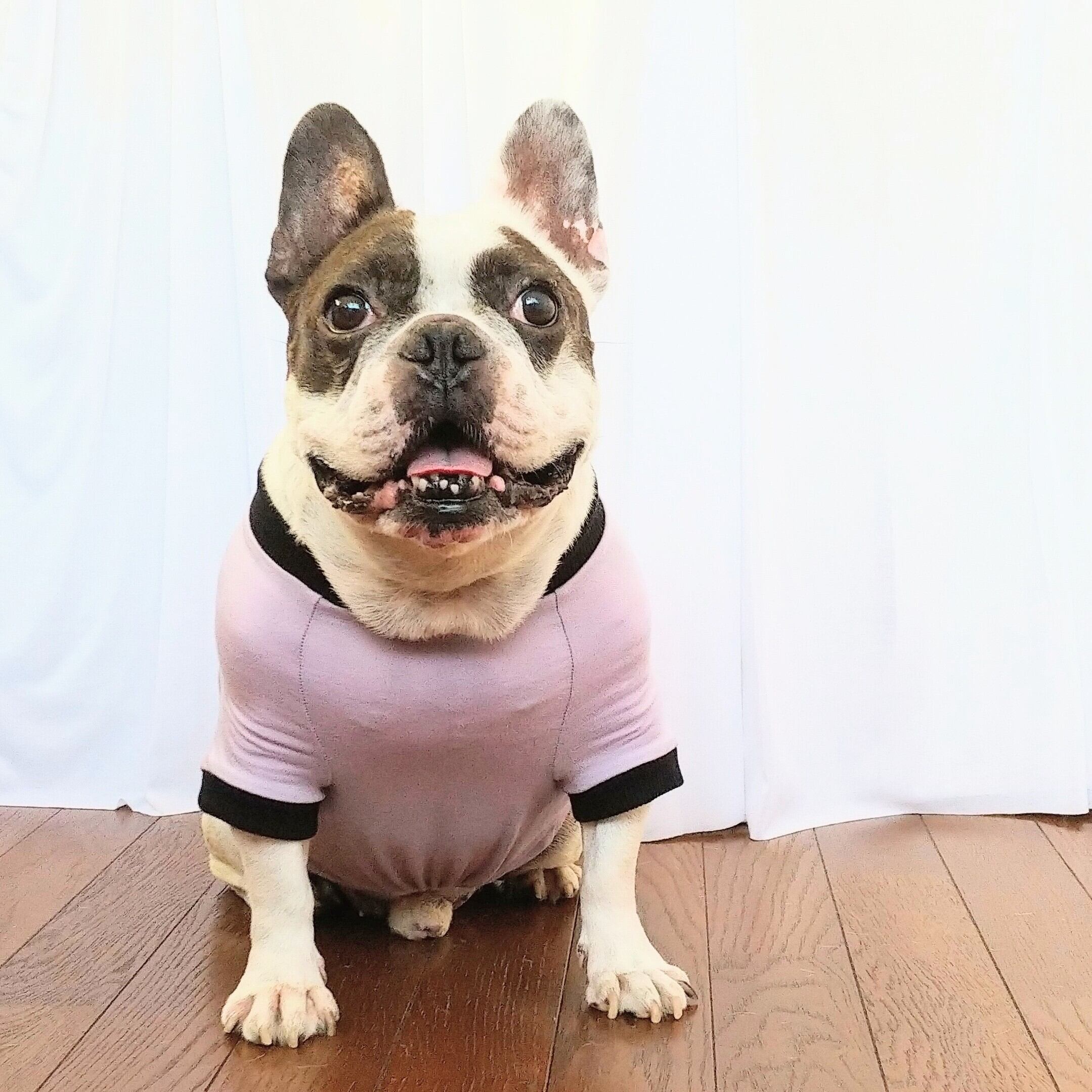 ブルドッグ様専用 Meggy様専用 ＊ハンドメイド＊フレンチブルドッグ