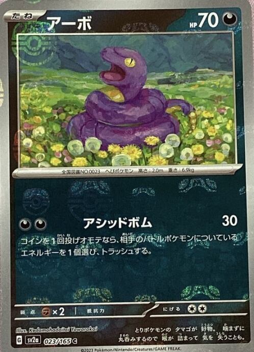 【Aランク】アーボ(マスターボール(ミラー)