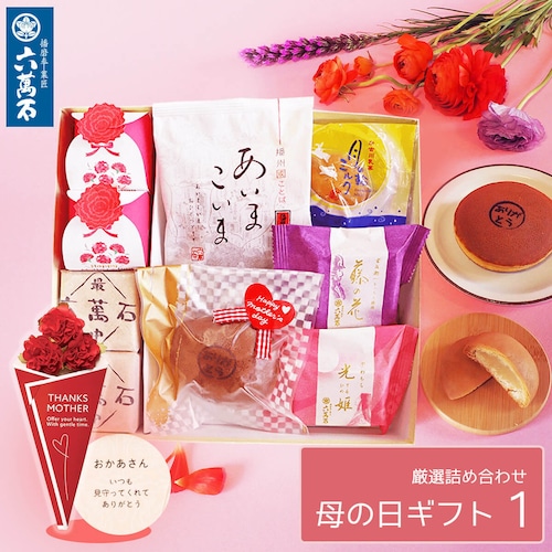 母の日ギフト 2026 『母の日詰め合わせ 1』 7種 #和菓子#お取り寄せ#土産#プレゼント#進物