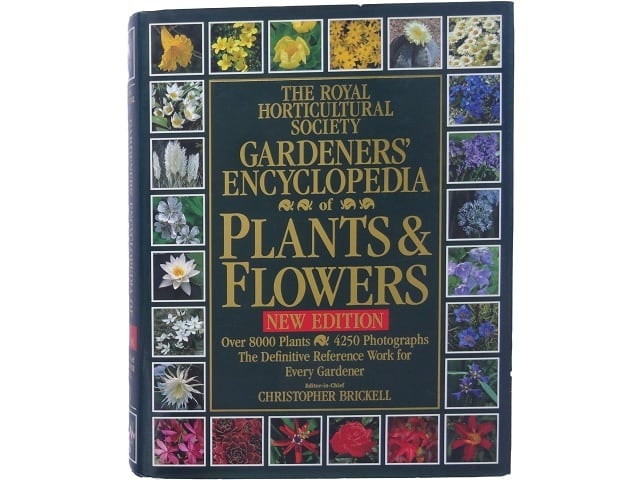 洋書◇薔薇の写真集 本 植物 バラの起源と歴史 伝承 用途 芸術 文学