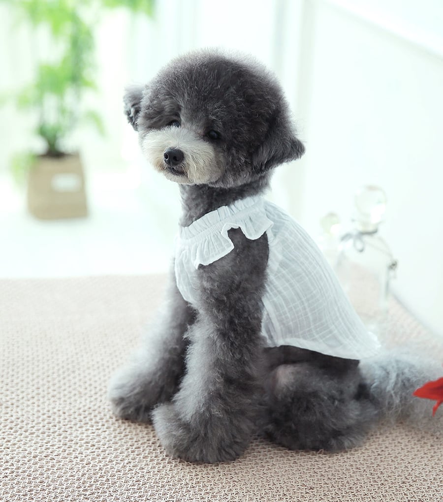 linen kelly sleeveless S ~ XL 2color / 犬服 春夏 涼しい ブラウス 無地 リンネン フリル トップス 袖なし 可愛い ドッグウェア シンプル 韓国 犬の服 top162