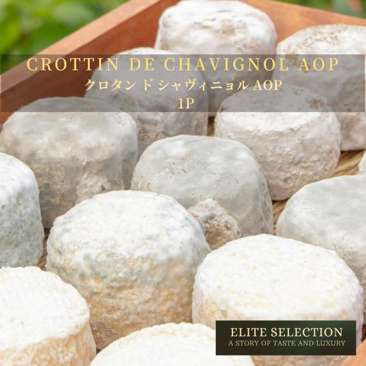 フランス産 グラスフェッド クロタン ド シャヴィニョル AOP ラ トラディション 1個 白かび 山羊 チーズ Crottin de Chavignol AOP La Tradition Grassfed 1p