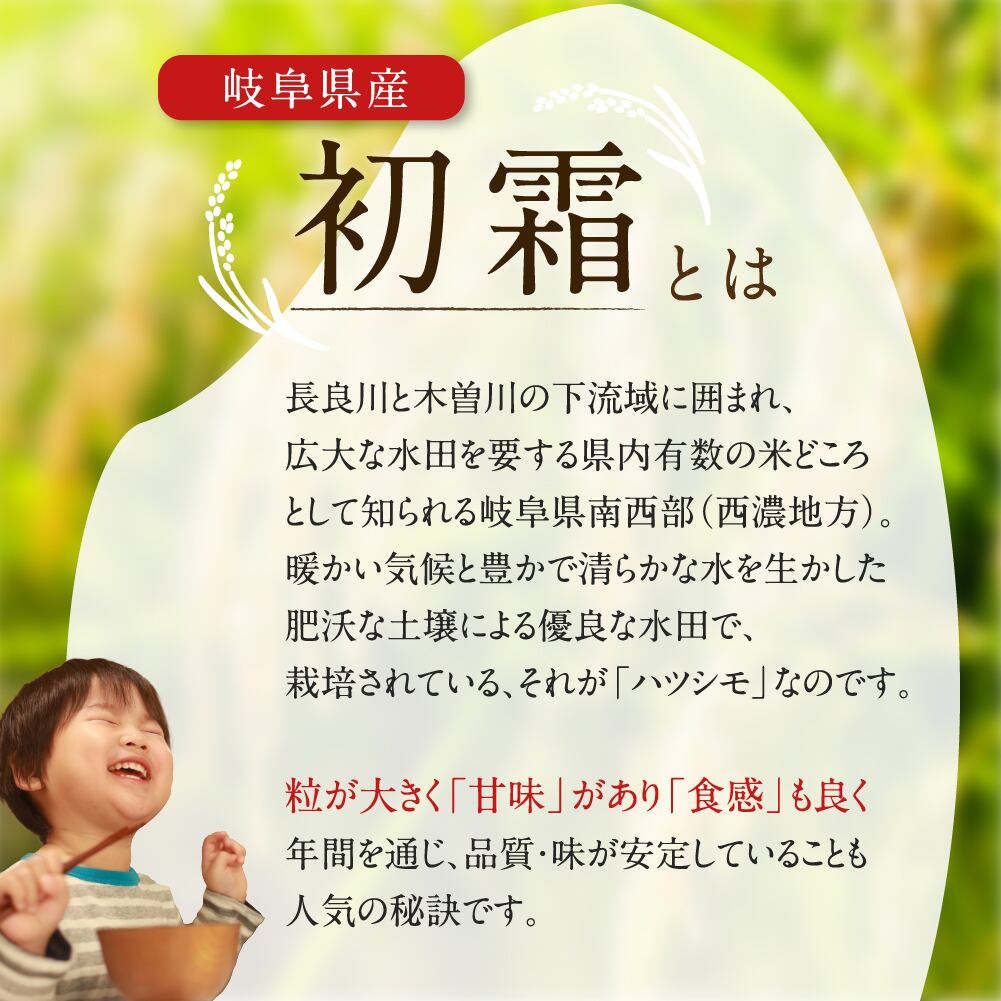 幻の米！玄米 岐阜県ハツシモ 2kg 　通常栽培米【令和5年産】