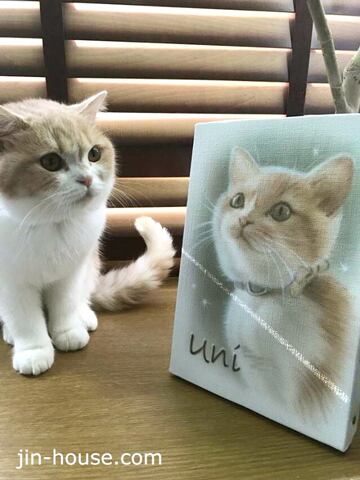 カジュアルタイプ(ミニキャンバス,カラー)ペット肖像画