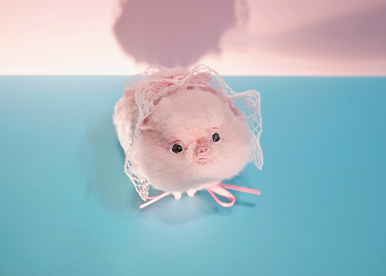 ピッグ