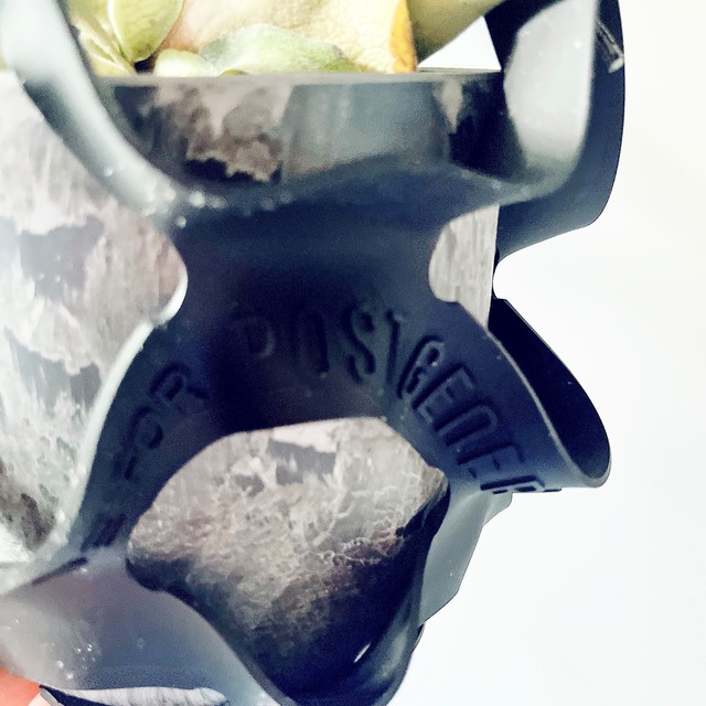 ビカクシダ  ヴィーチー （コウモリラン） アートストーンポット＆ハンギングラバー calm cafe