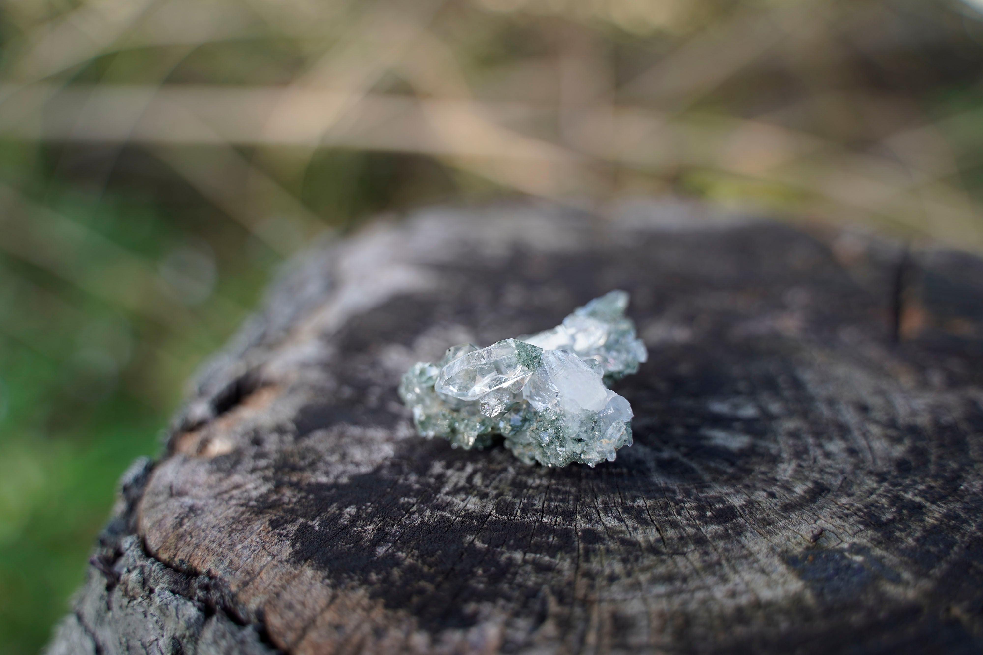 石｜石屋のcoji | coji