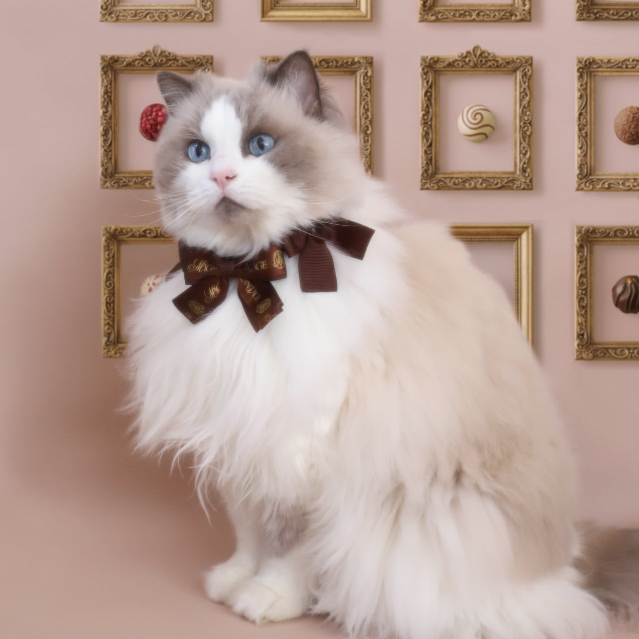 Mignonne Vintage