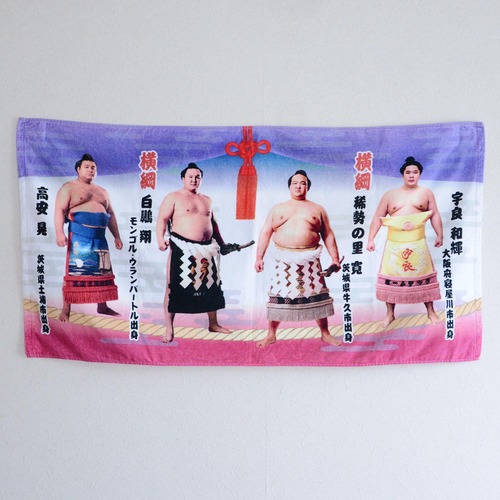 Sumo Wrestler Towel Pile 100% Cotton Yokozuna Hakuho Kisenosato etc Kanji Wall Art Deadstock