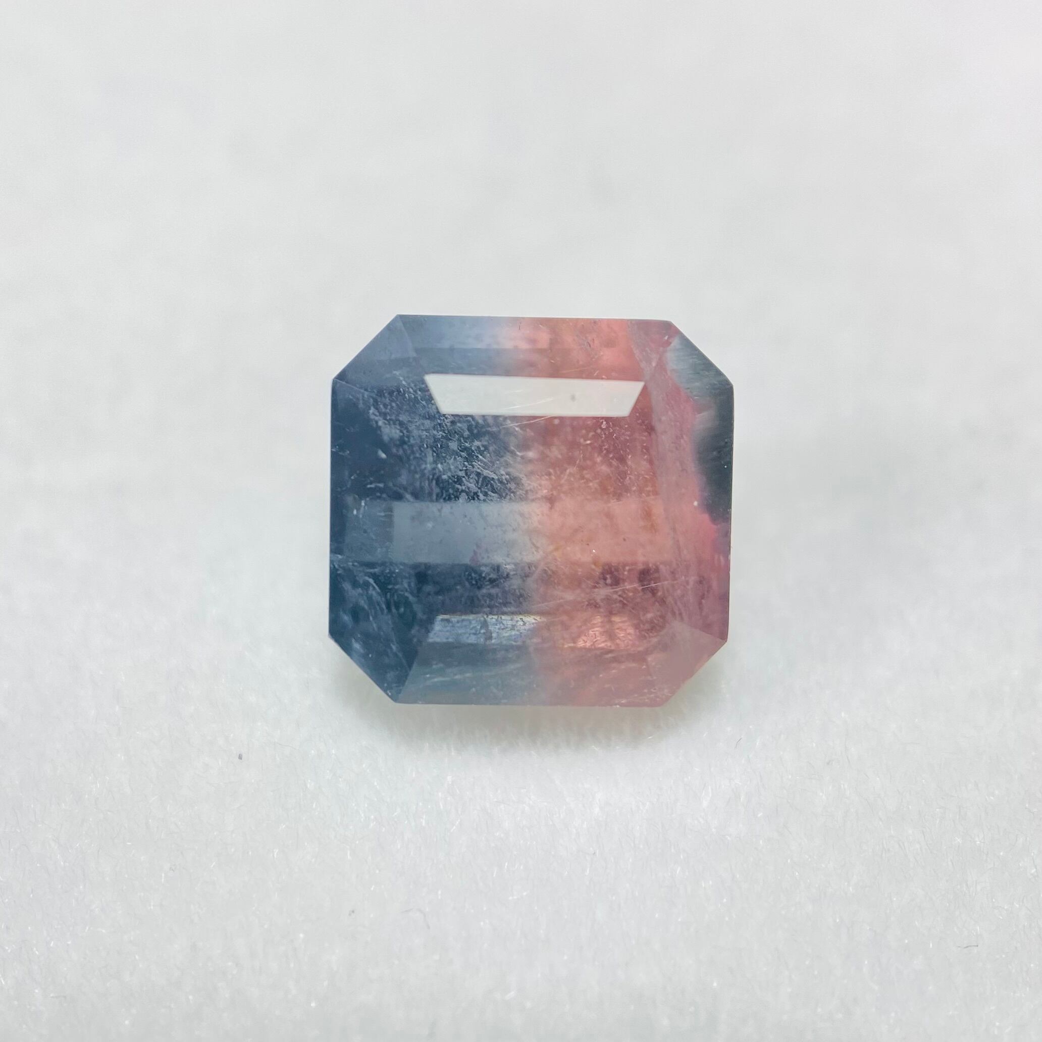 2色の紫陽花　バイカラートルマリン2