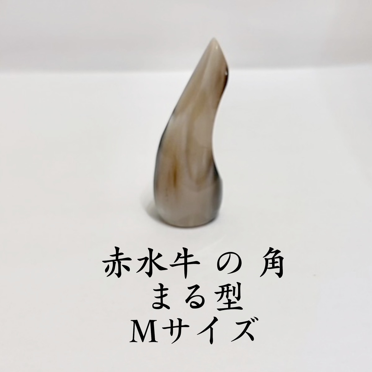 三線ばち: 赤水牛 まる型 約8cm ( 爪 /ツメ/バチ/オランダ 牛 