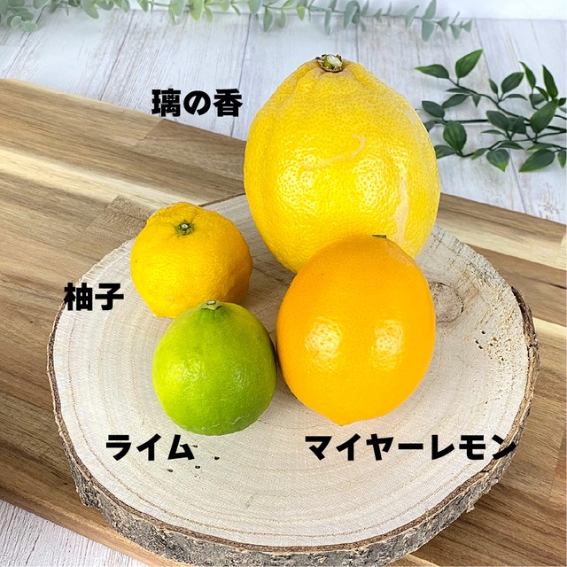 希少種レモン まろやかフルーティ璃の香 砂糖不使用ドライフルーツ 保存食工房trad N U