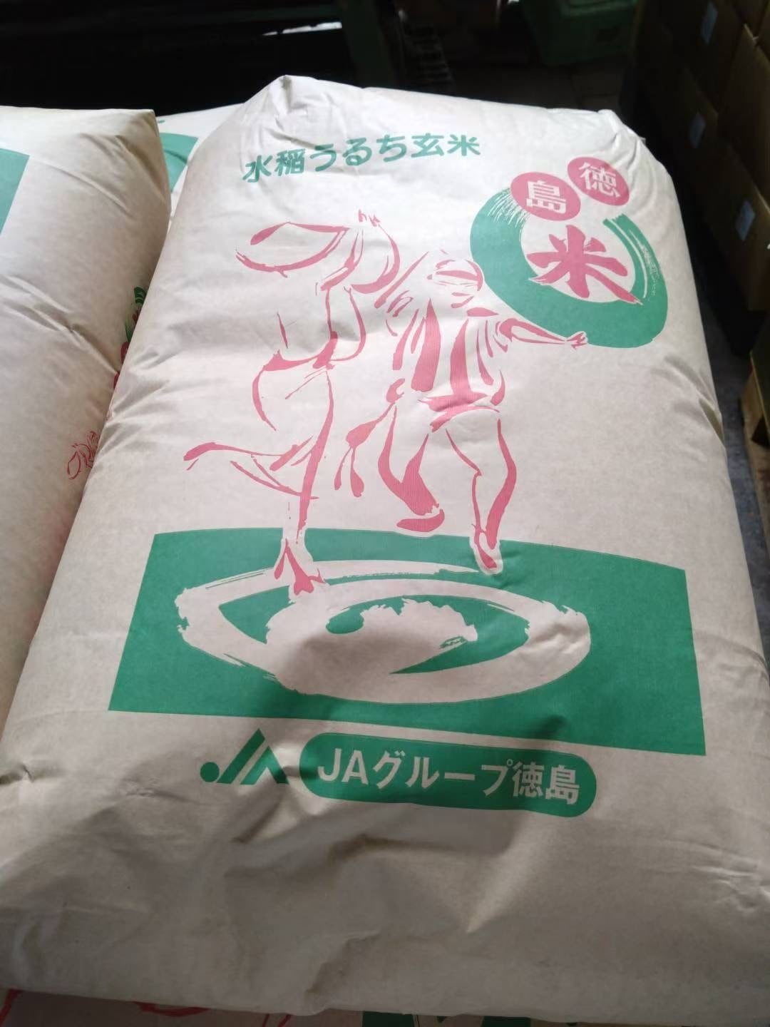 令和7年産 徳島県産 コシヒカリ5kg 精米
