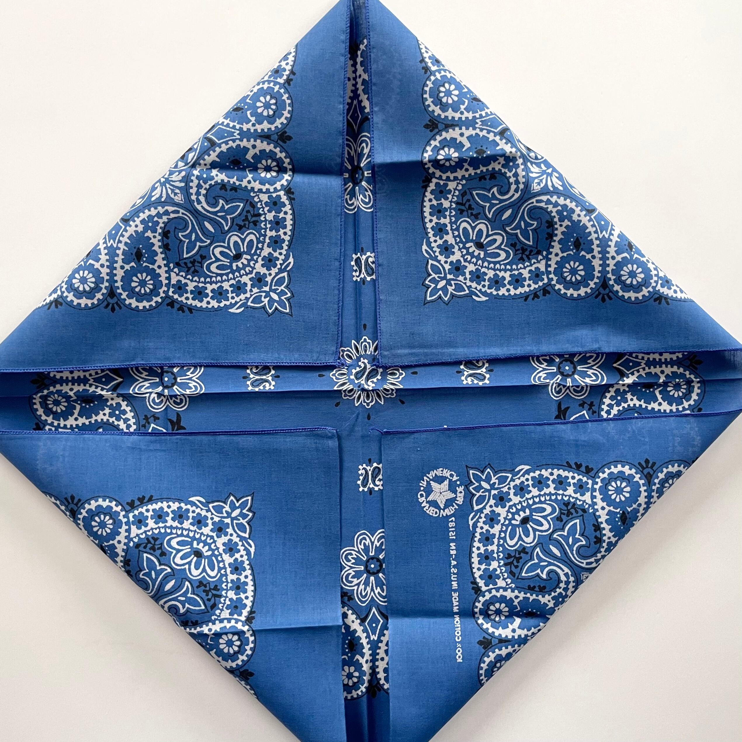 Deadstock】RN15187 PAISLEY ヴィンテージバンダナ ② | swallows