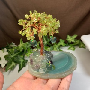 フローライトねこちゃんの集い場~青いリンゴがなるペリドットツリー~