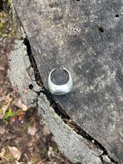 nivå ring (232)