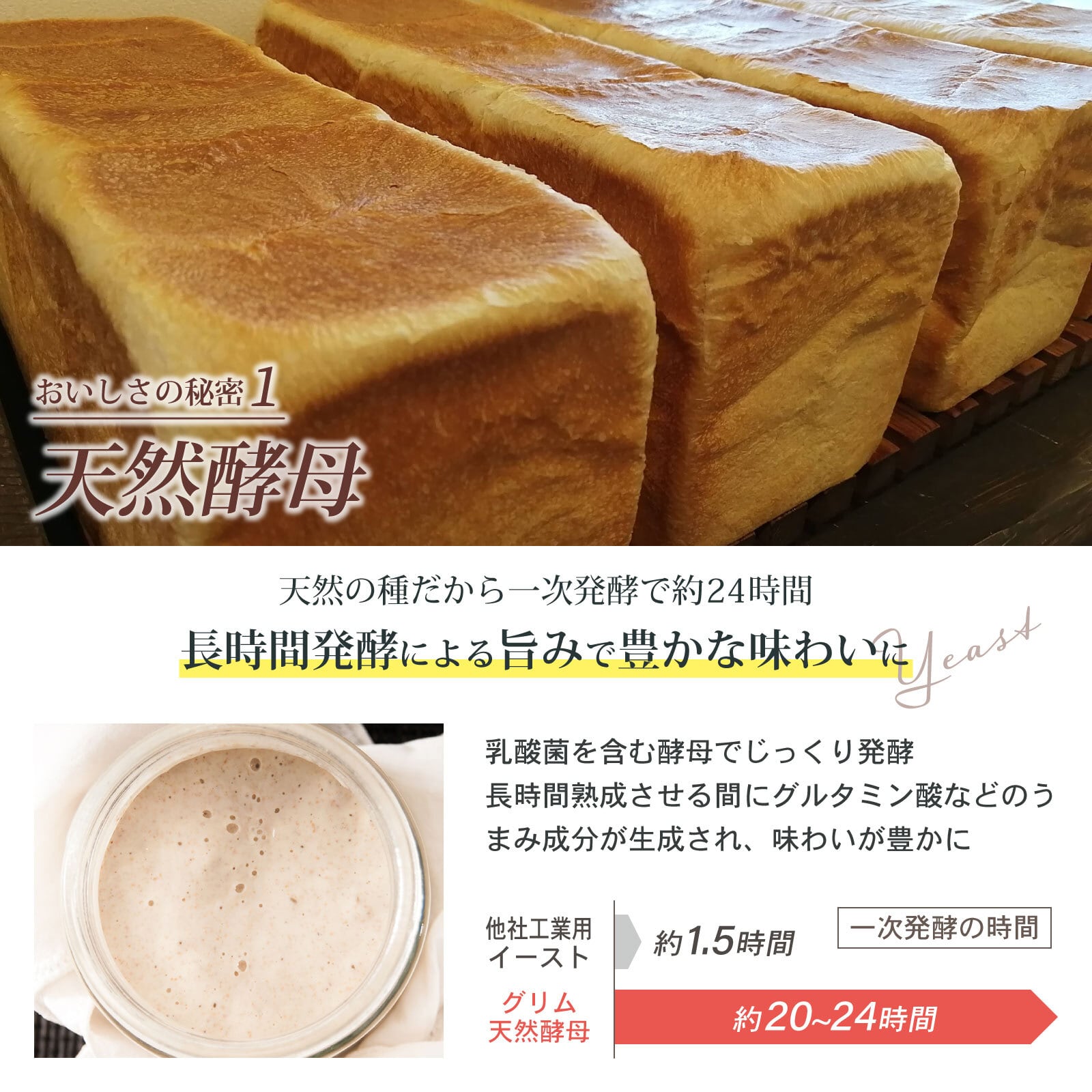 自家製天然酵母 贅沢素材の角食パン 大型サイズ 約450g | 天然酵母パン