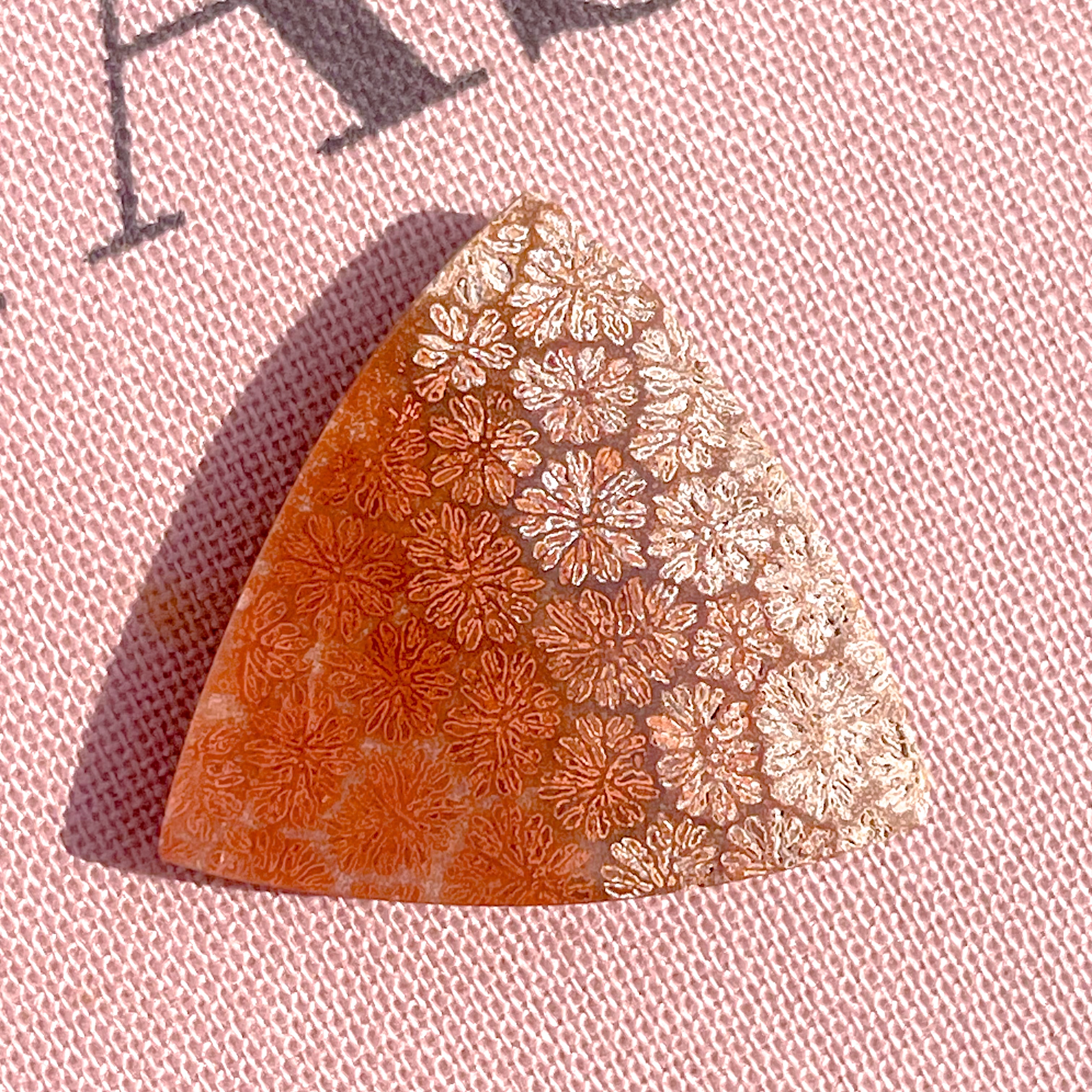 Fossile Coral Triangle ✧ フォッシルコーラル (化石珊瑚) | FLUXY