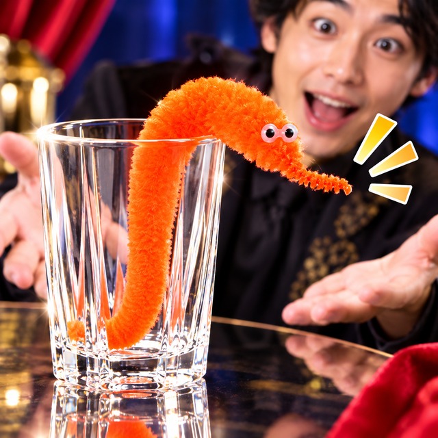マジックDVD | M.A.magic