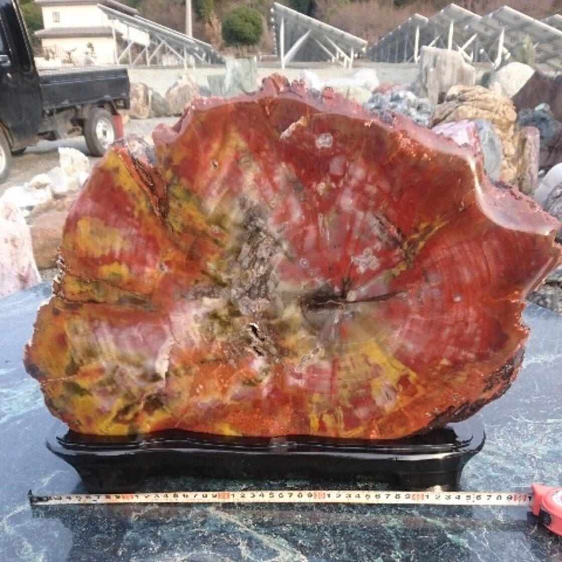 アリゾナ産珪化木24.8キロ 庭石 鑑賞石 化石 原石 宝石 パワーストーン 
