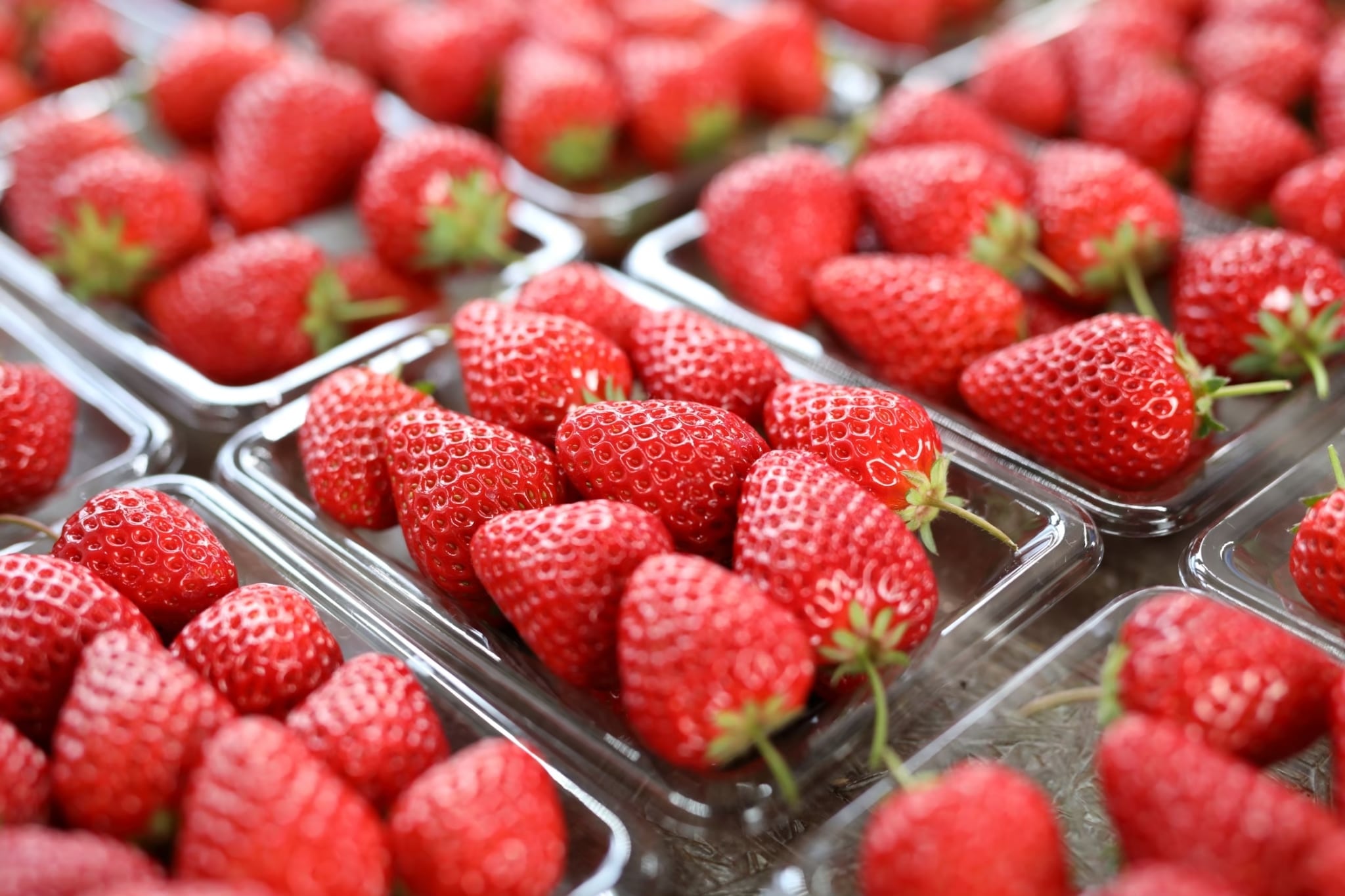 くぼいちご農園