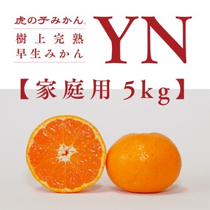 「虎の子みかん」YN早生/家庭用5kg