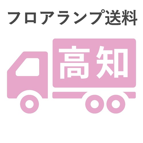 BL-F481,484,806送料　高知　 　　　　　　