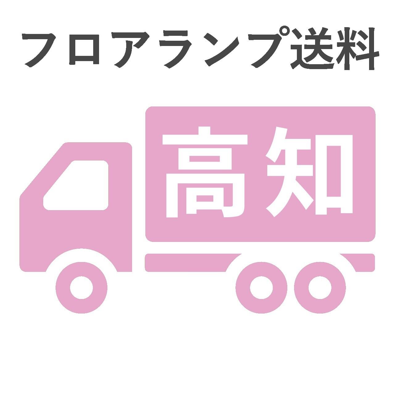 BL-F481,484,806送料 高知