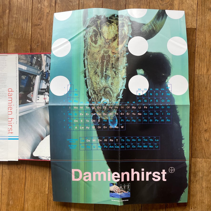 【絶版洋古書】ダミアン・ハースト Damien Hirst 1997年初版 London, Booth-Clibborn Damien Hirst -  'I want to spend the rest of my life everywhere, with everyone, one to