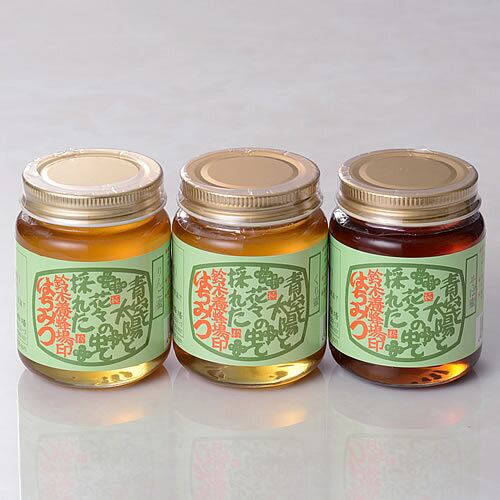 日本ミツバチの蜂蜜【160g】 | 鈴木養蜂場 はちみつ家