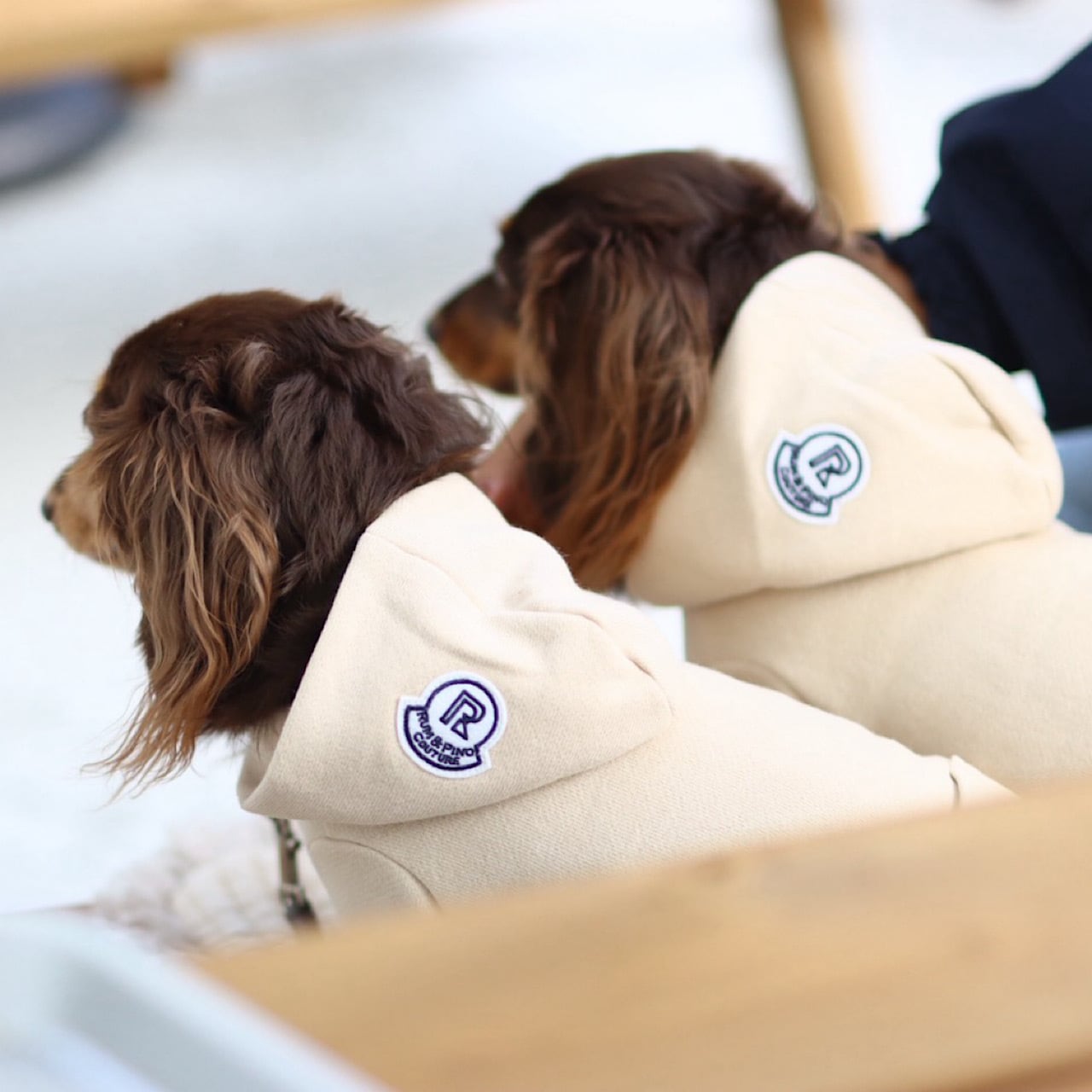 カニンヘンダックスとミニチュアダックス専門のお洋服webショップ