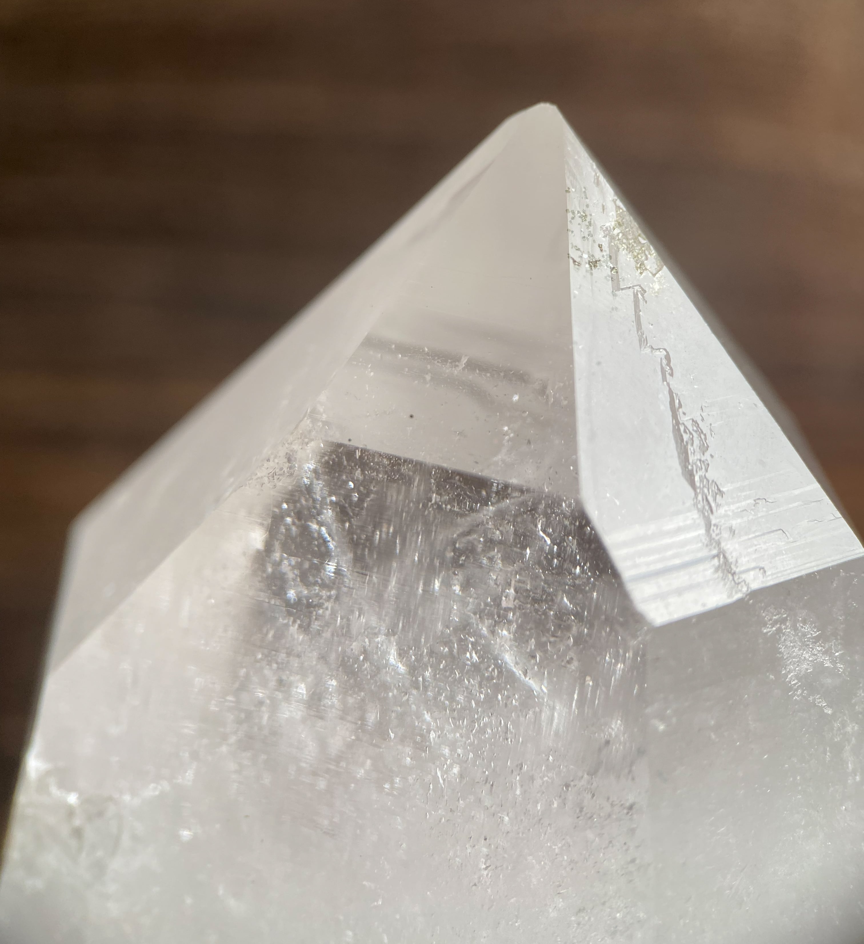 大きなセルフヒールド | Tigress Yogi