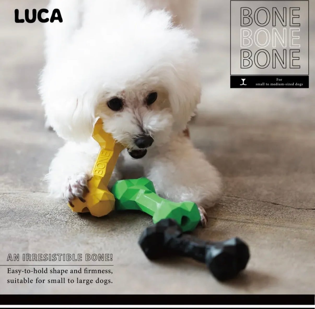 【PETOY】BONE BONE BONE（ボーン ボーン ボーン）見た目はカクカク、噛み心地はしっかりフィットするおもちゃ