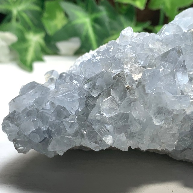 2.空色セレスタイトに住み着いているフローライトハリネズミさん