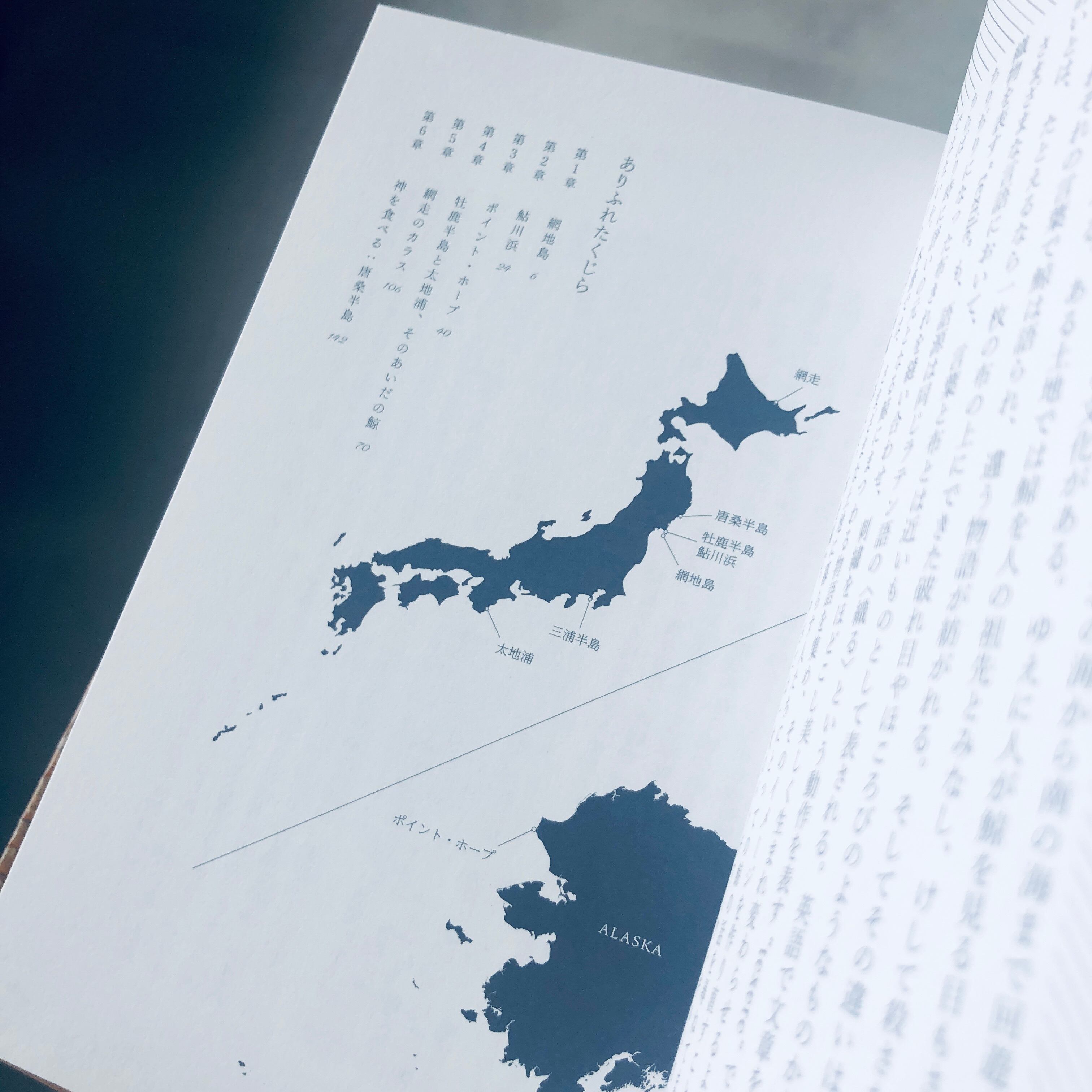 ありふれたくじら Ordinary Whales｜是恒さくら | 本の轍