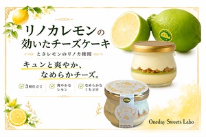 高知県産【とさレモン】の贅沢チーズケーキ6個セット【とさレモンが爽やかに香る】