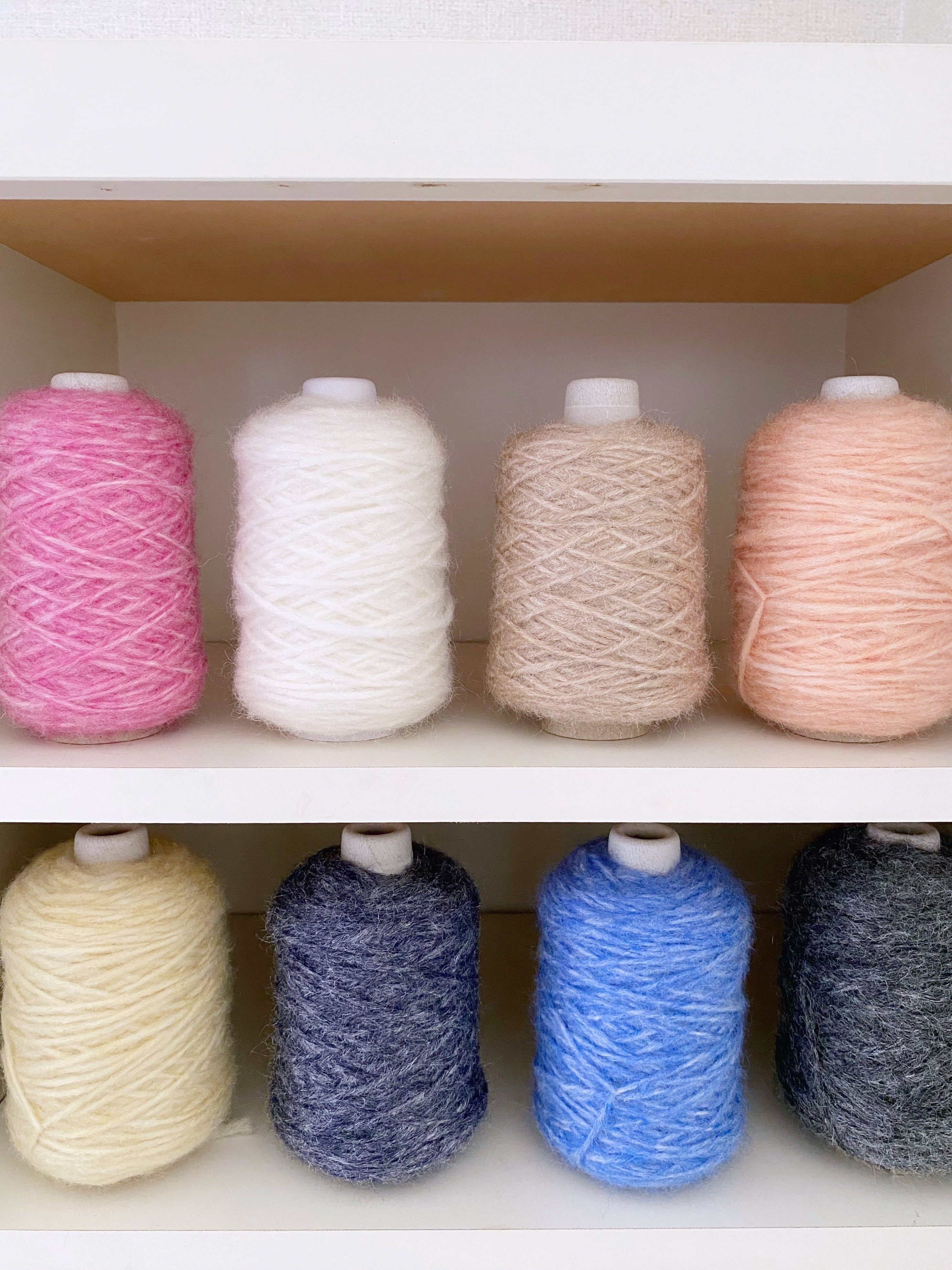 Terrier テリア｜Special Selection | ［hus:］フース