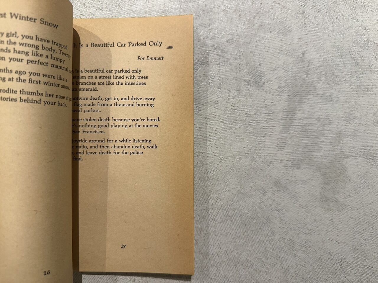 リチャード・ブラウティガン詩集 ビル対スプリングヒル鉱山事故 リチャード・ブラウティガン詩集 ビル対スプリングヒル鉱山事故