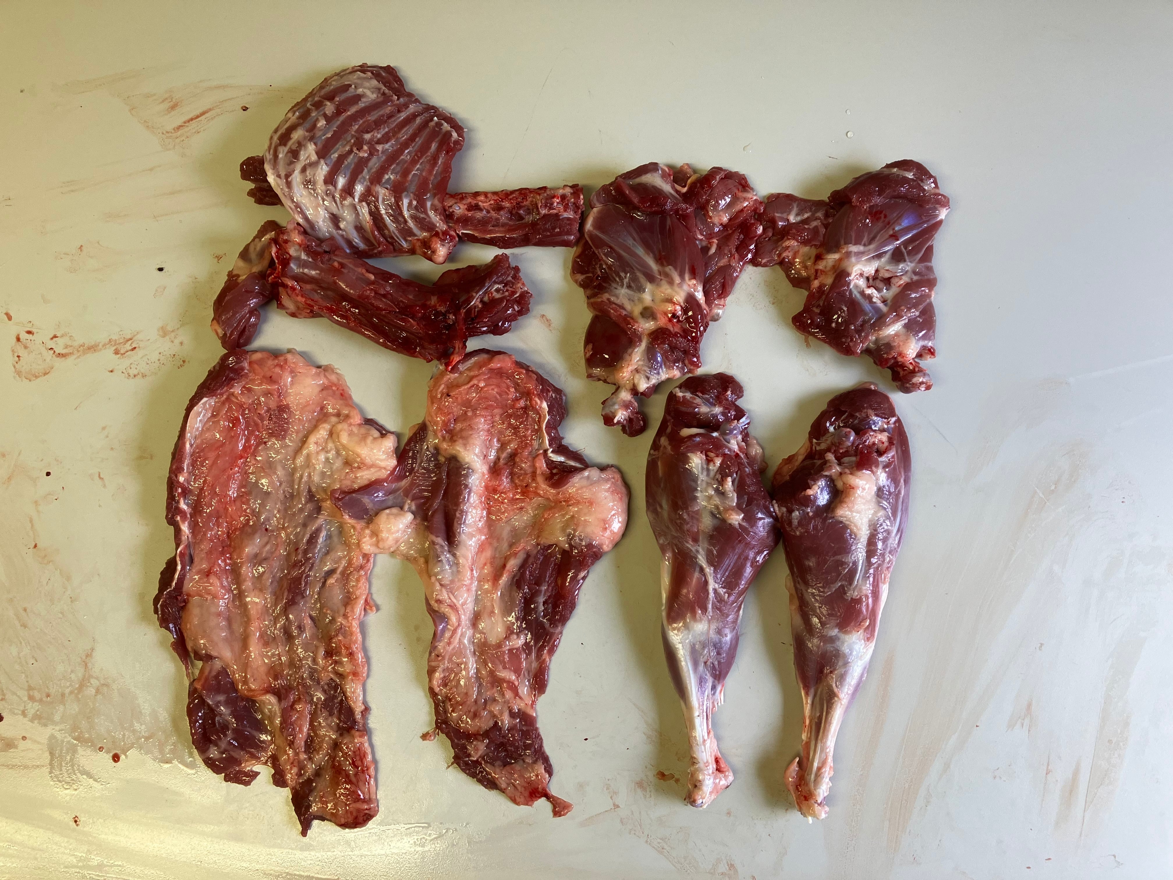 たぬき肉