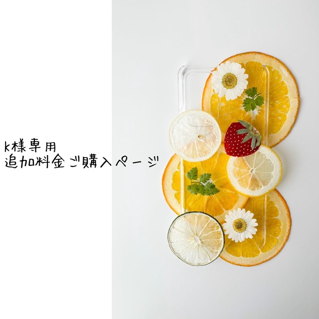 K様専用追加料金ご購入ページ