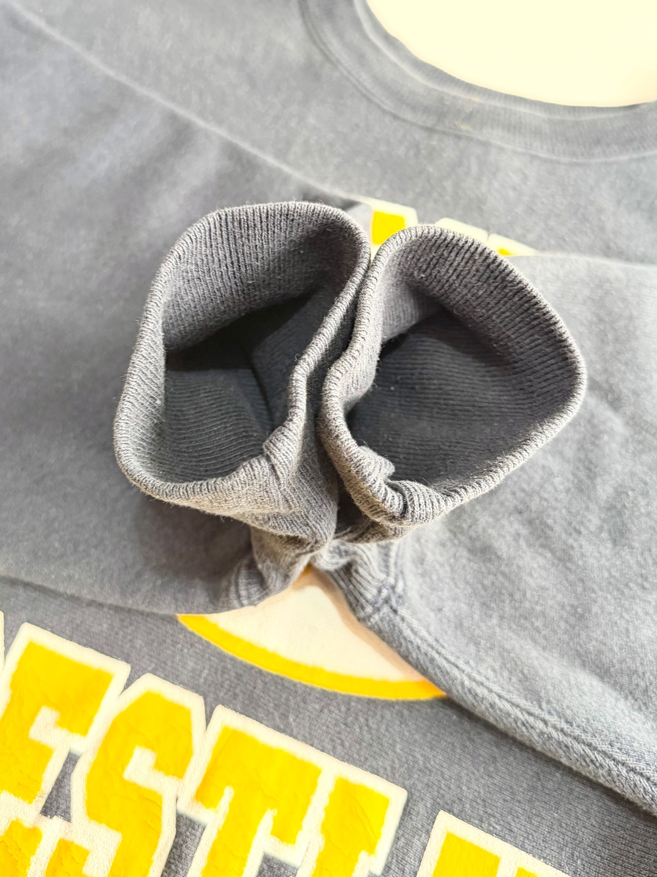 90s Champion REVERSE WEAVE Size XL