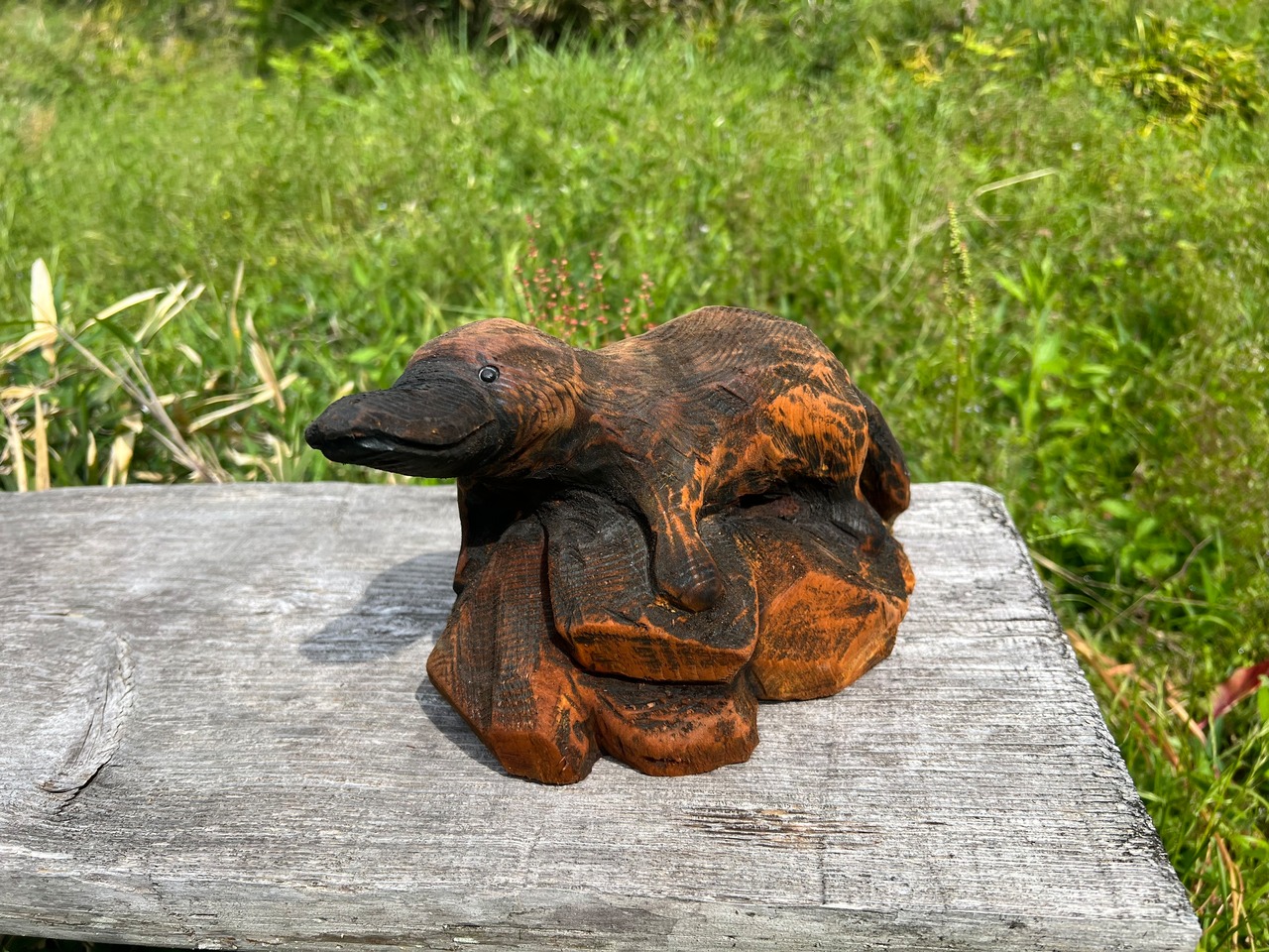 カモノハシ