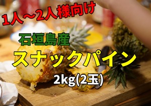 【送料無料】石垣島のスナックパイン2kgセット(2玉)