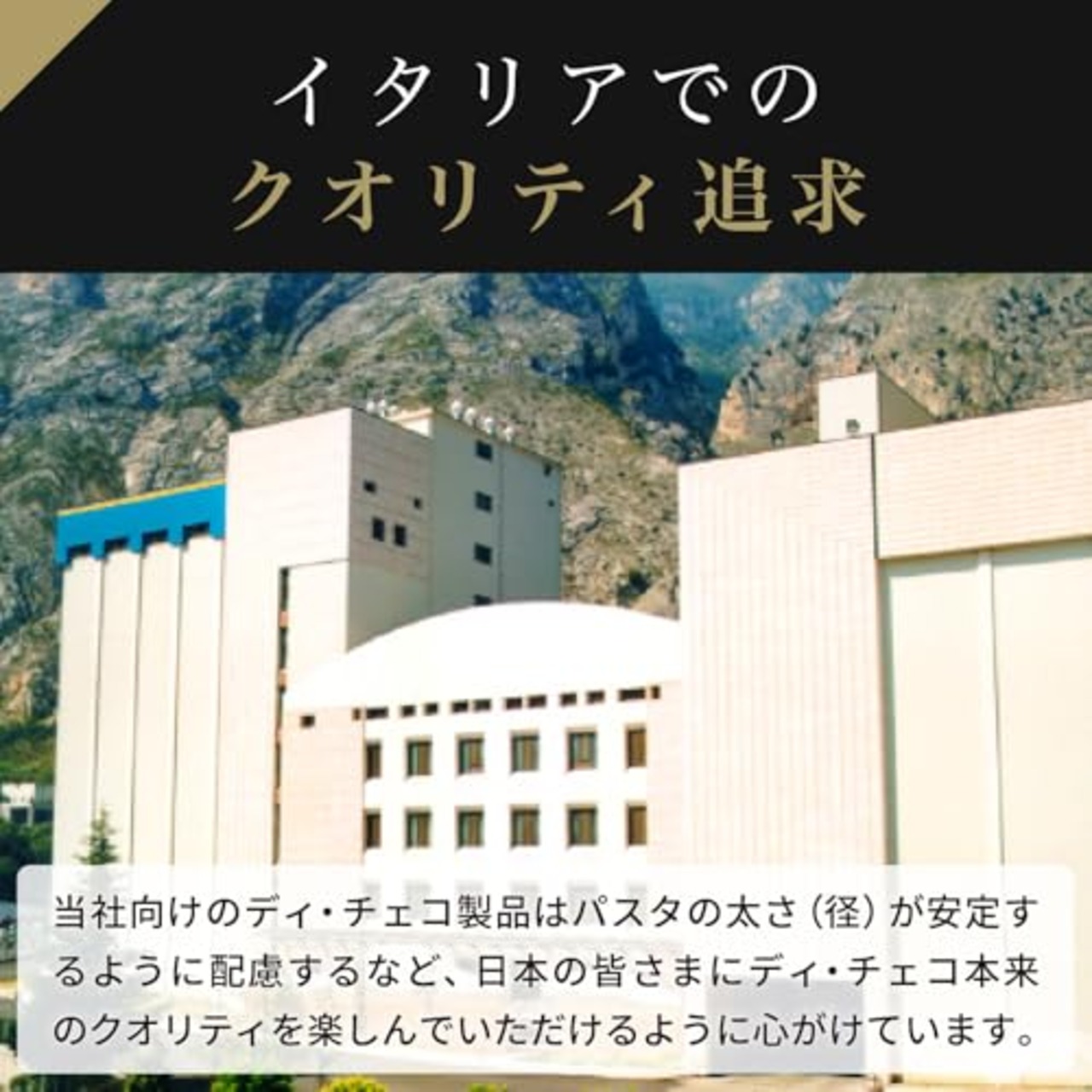 日清製粉ウェルナ ディ・チェコ スパゲッティーニNo11 500g