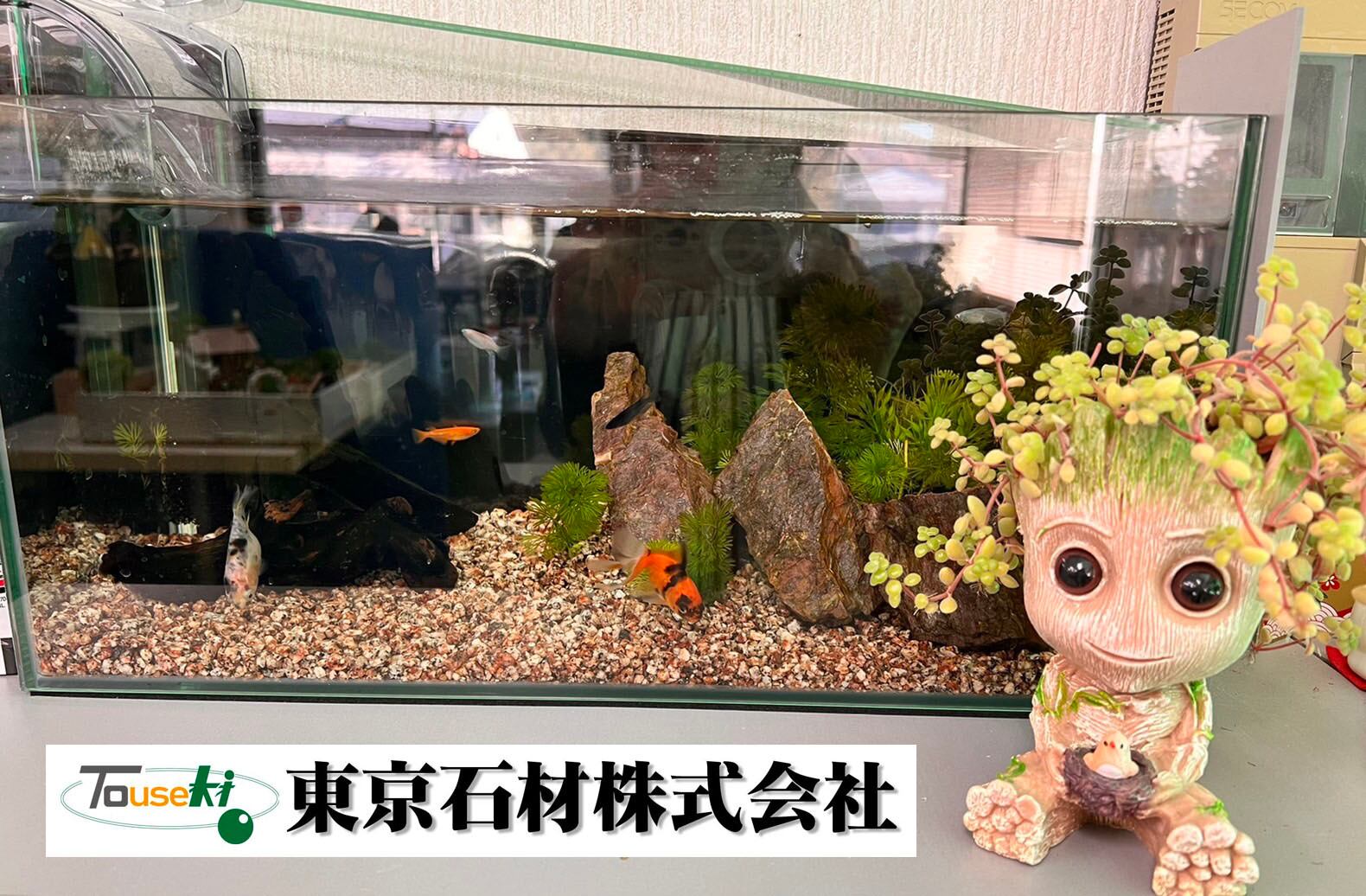 光亀石（きせき）1kg お魚の底石 | 東京石材㈱ICT事業部