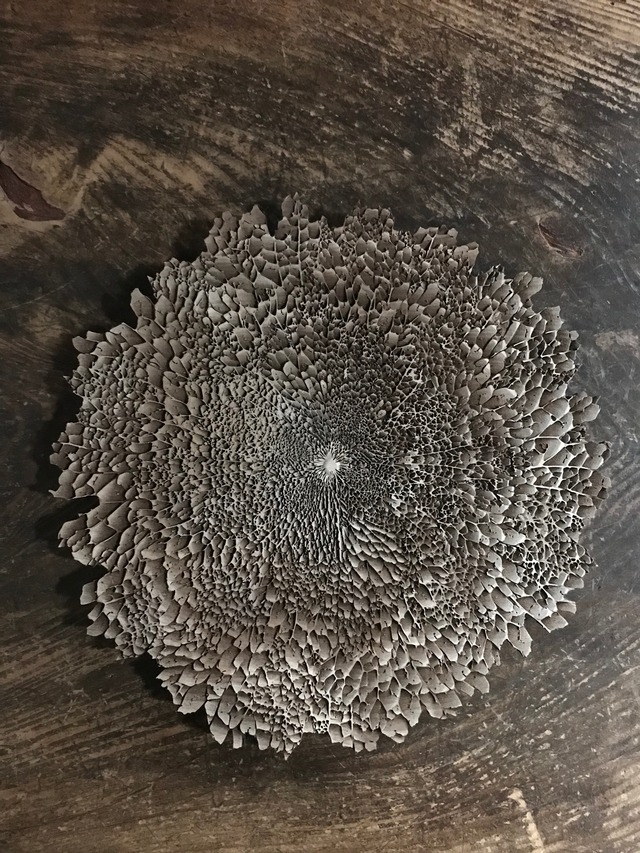 iiai  葉脈模様　木製ボード　・　26 cm