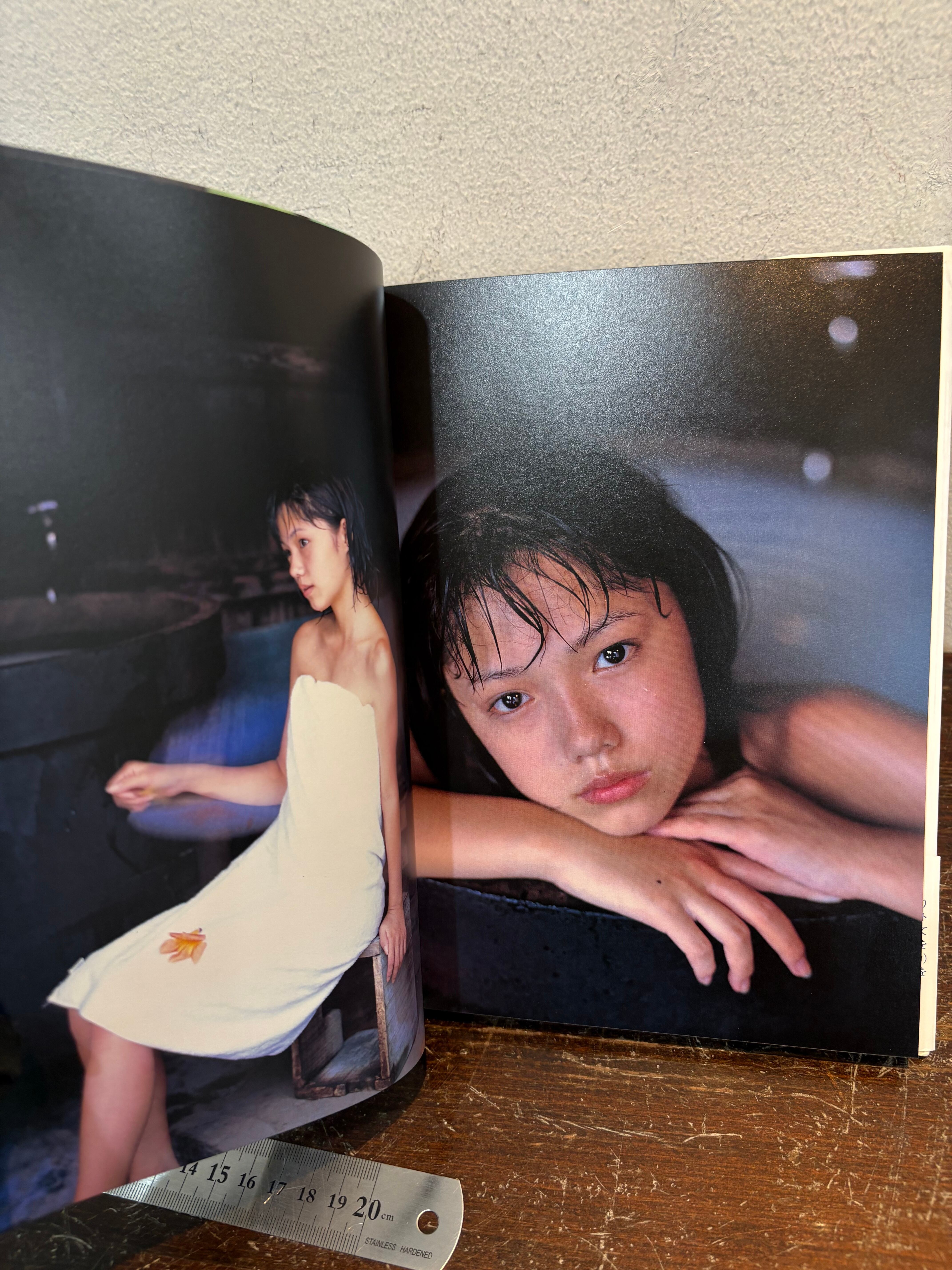 宮崎あおい写真集 少女日記 写真・文 安珠 | zbooks