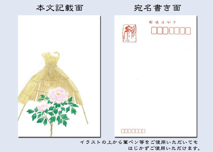 はがき 年賀状 寒中見舞い 歳暮 中元 お礼【花きらら FPS-739 はがき 年賀状 寒中見舞い 歳暮 中元 お礼【花きらら FPS-739