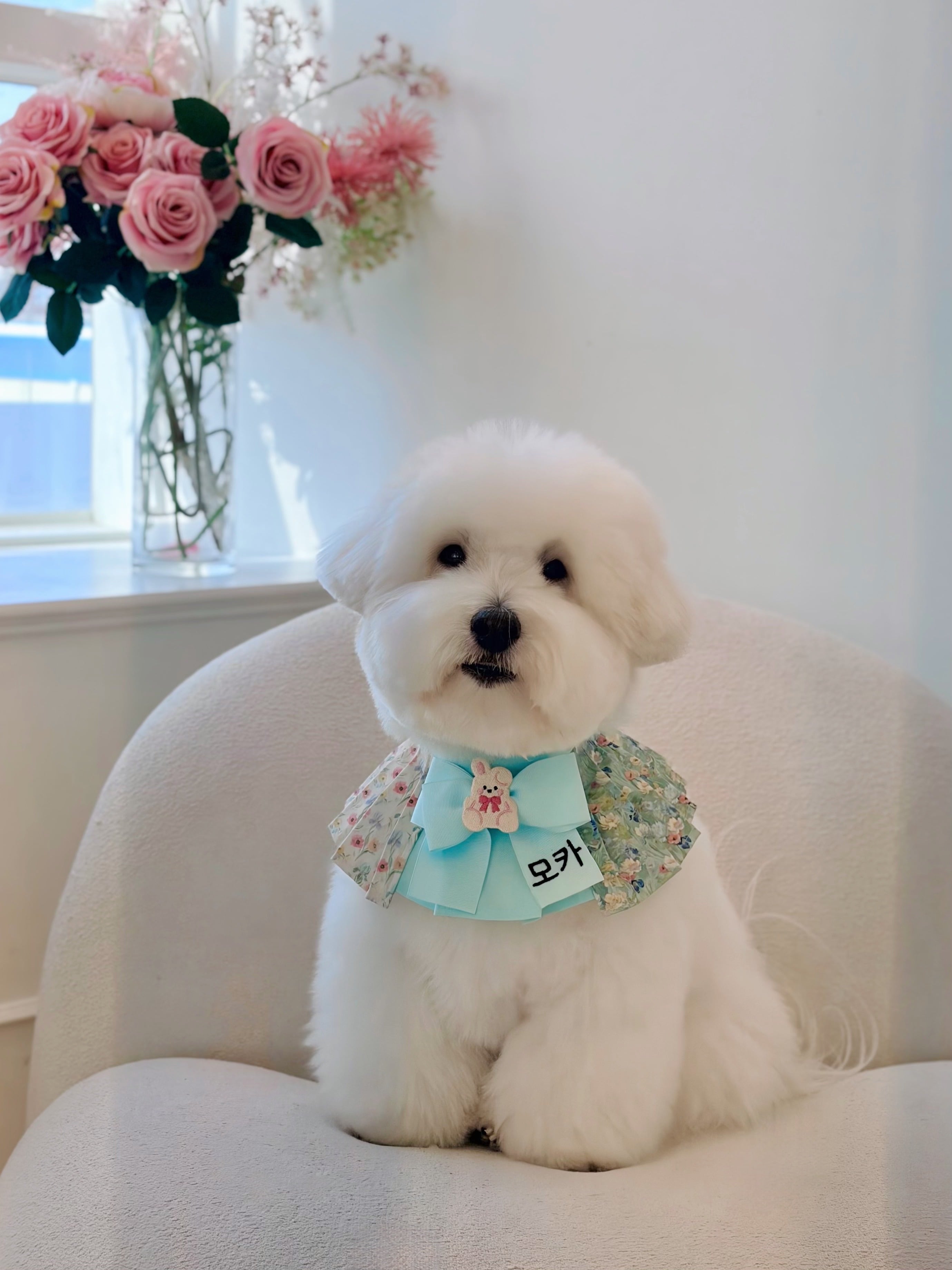 予約【26SS / MR.MOKA】Wing Accordion Cape